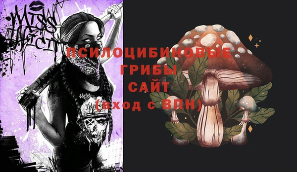 гидропоника Алзамай