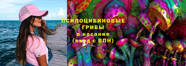 гидропоника Алзамай